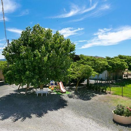 Agriturismo Case Nuove Castellina Marittima Εξωτερικό φωτογραφία